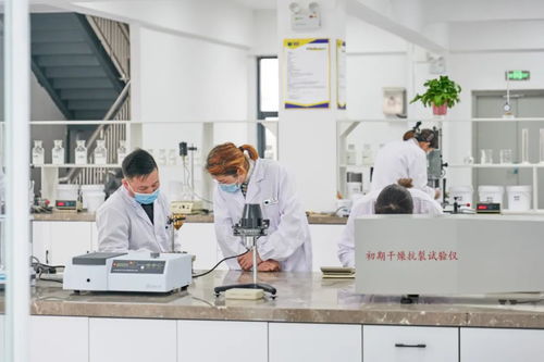 北方仿石漆龍頭 以技術筑基，筑價值壁壘