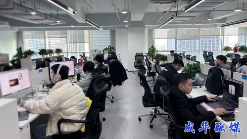 出海升級，攻堅克難 成都成華科技企業開啟2026沖刺模式